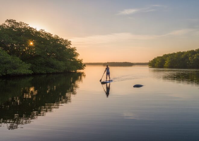 Gliding Through Paradise: A Guide to Indian River Lagoon Adventures in Vero Beach