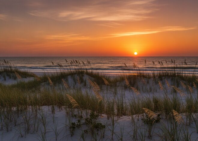 Chasing the Light: The Ultimate Guide to Vero Beach Sunrise and Sunset Photography