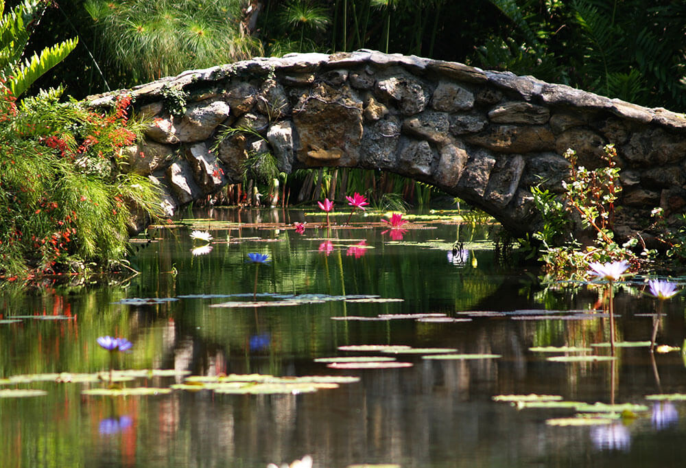 McKee-Botanical-Gardens