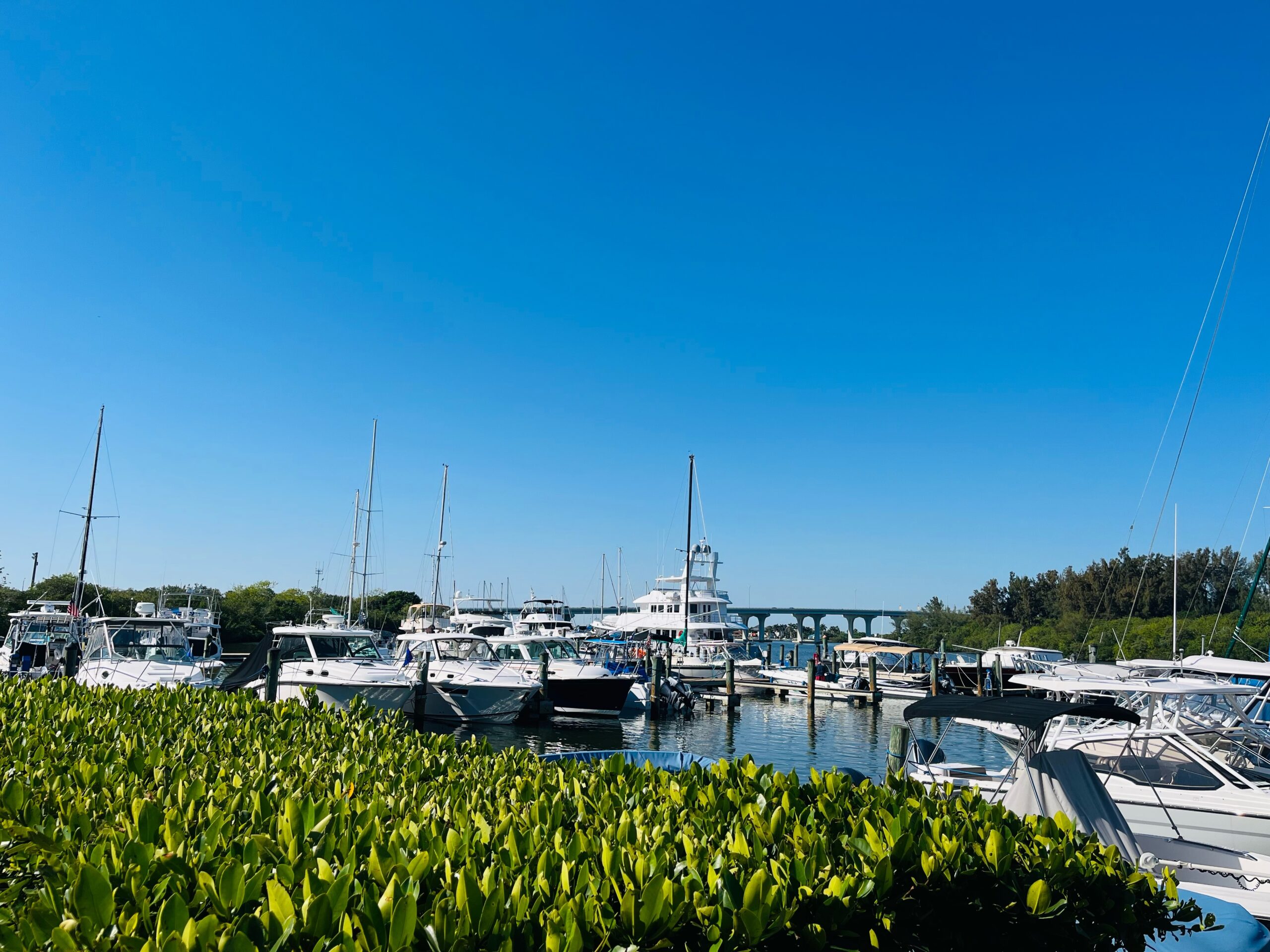 Vero Beach Marina 4