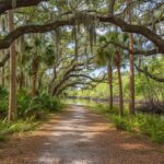 Vero Beach’s Green Heart: A Guide to Trails, Wildlife, and Botanical Wonders