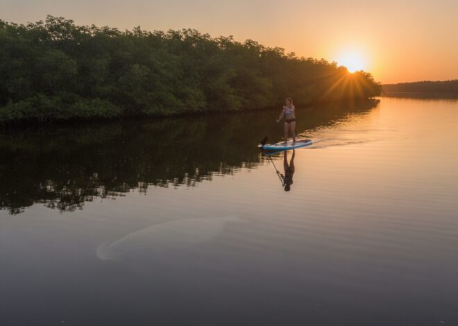 Gliding Through Paradise: The Ultimate Indian River Lagoon Adventure in Vero Beach