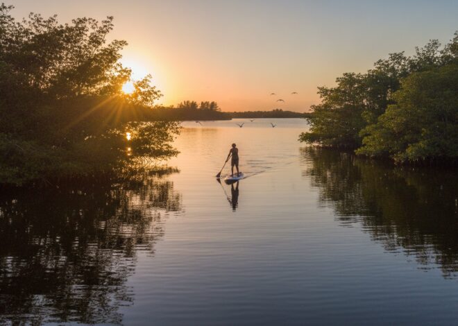 Gliding Through Paradise: The Ultimate Guide to Indian River Lagoon Adventures in Vero Beach