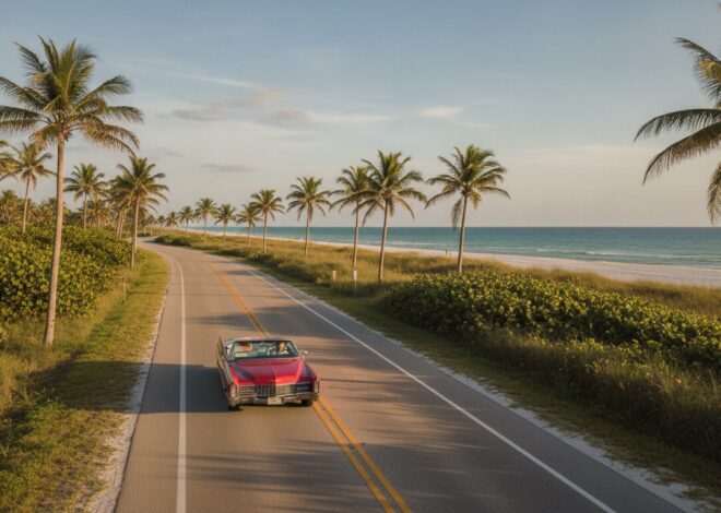 The Logistics of Paradise: A Practical Guide to Arriving and Navigating Vero Beach